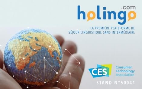 holingo